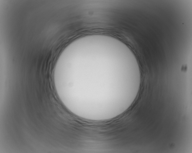 X0000113930125200909250925