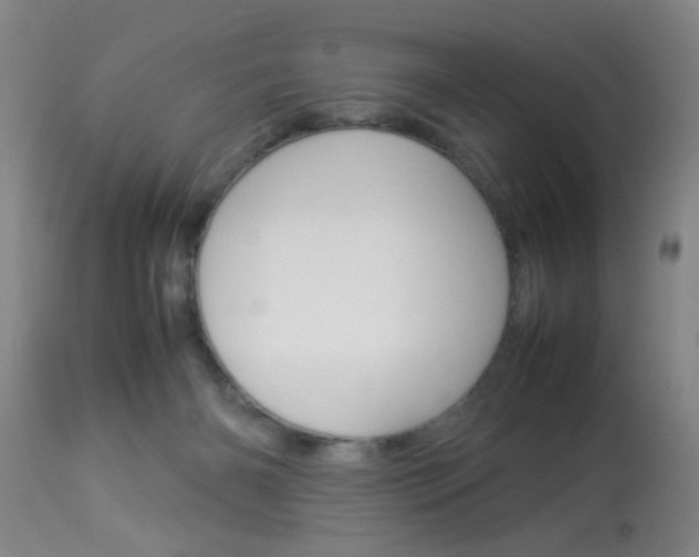 X0000113930126200909250925