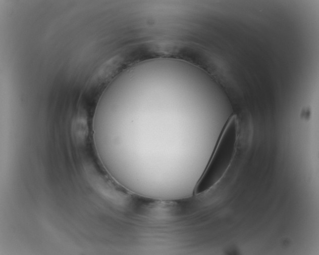 X0000113930128200909250925