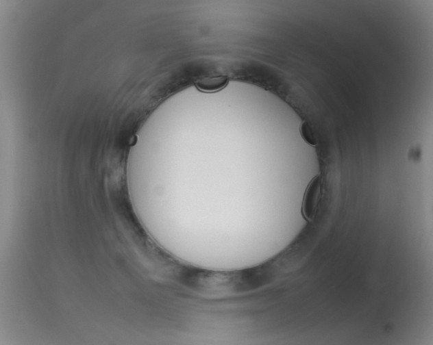 X0000113930129200909250925
