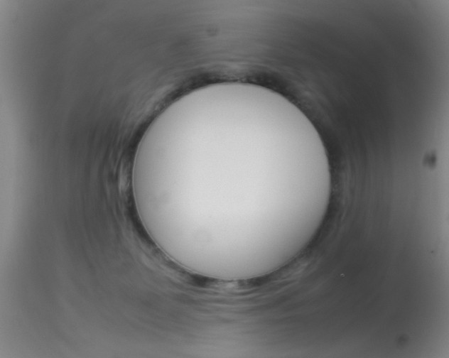 X0000113930131200909250925