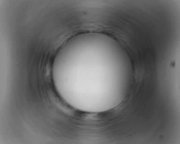 X0000113930132200909250925