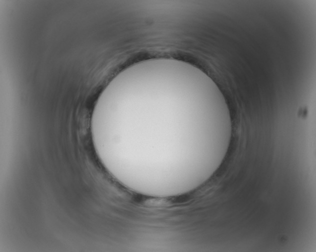 X0000113930133200909250925