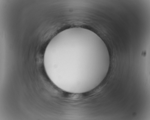 X0000113930135200909250925