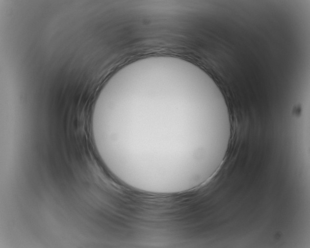 X0000113930136200909250925
