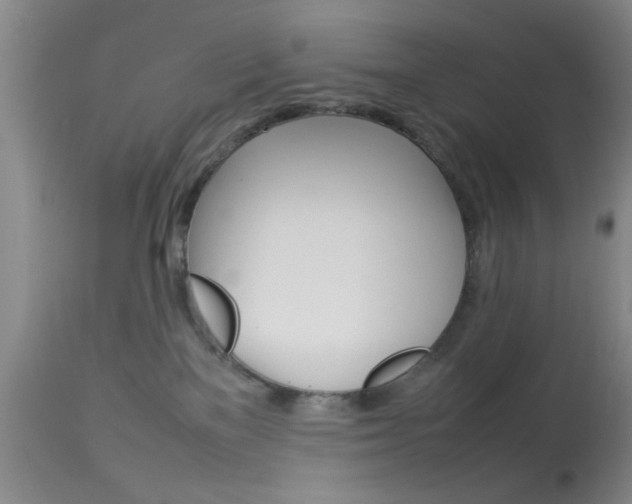 X0000113930137200909250925