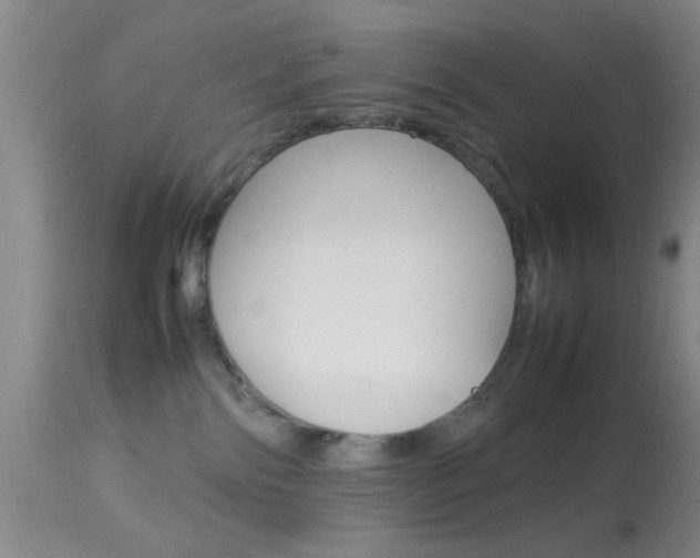 X0000113930138200909250925