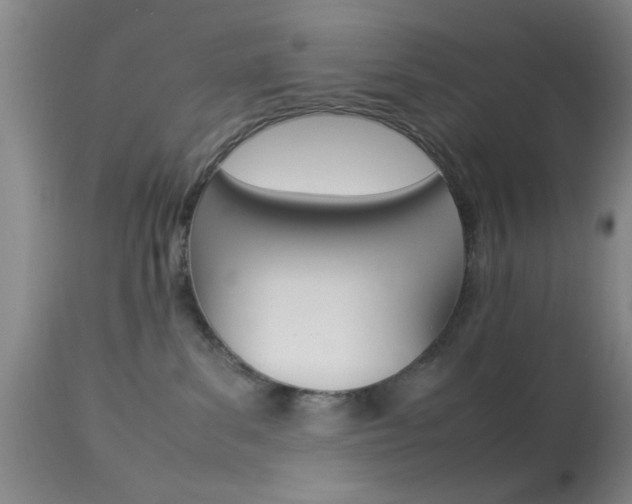 X0000113930139200909250925
