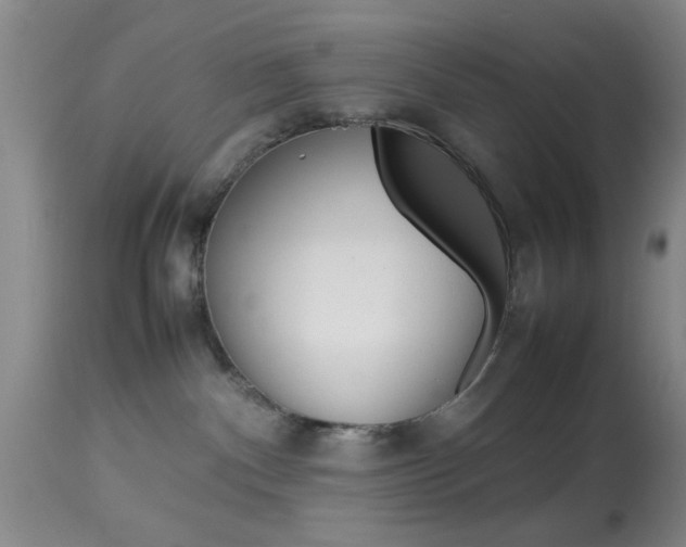 X0000113930140200909250925