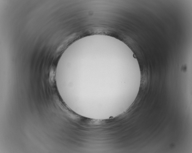 X0000113930142200909250925