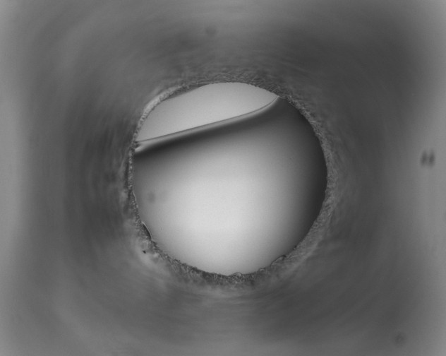 X0000113930144200909250925