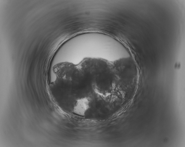 X0000113930145200909250924