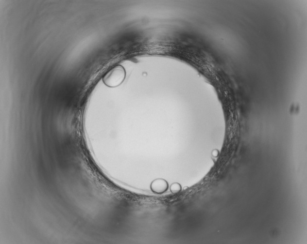 X0000113930146200909250924