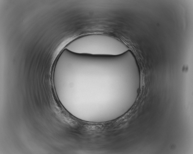 X0000113930147200909250924