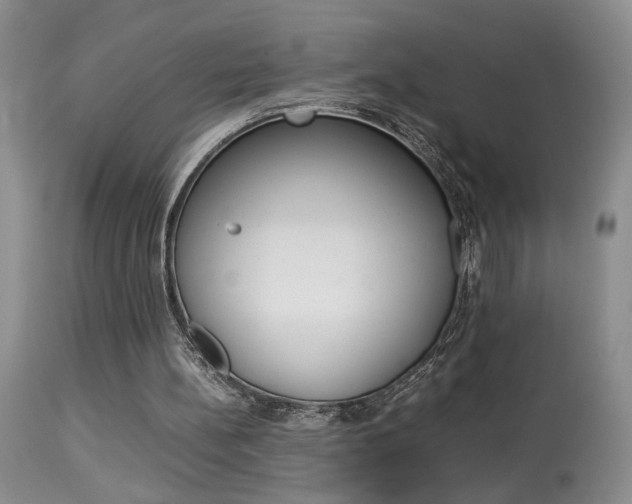 X0000113930148200909250924