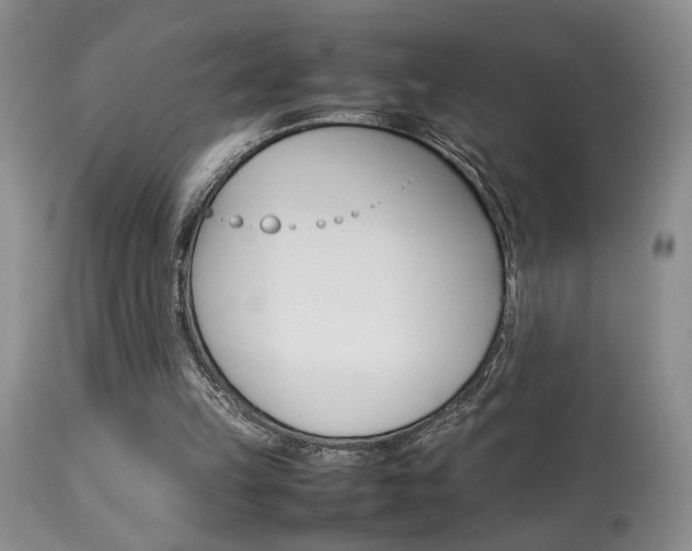 X0000113930149200909250924