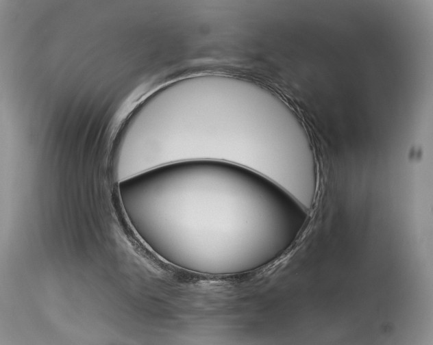X0000113930150200909250924
