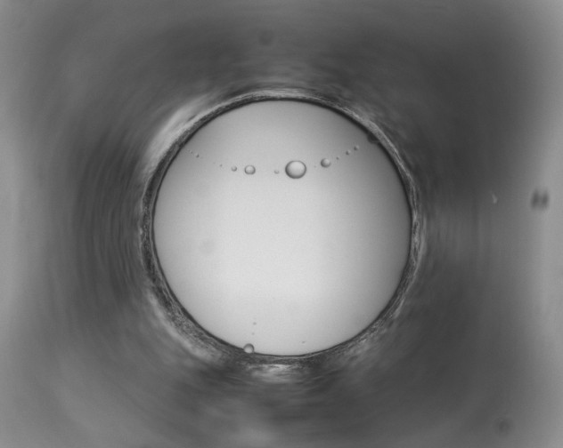 X0000113930151200909250924