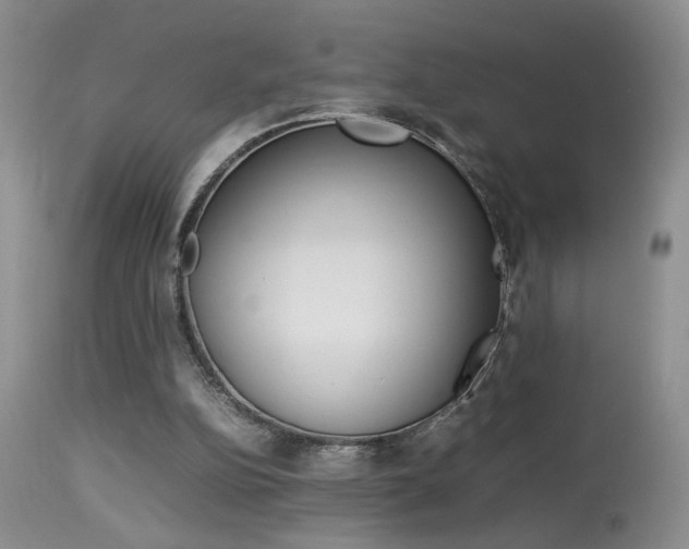 X0000113930152200909250924