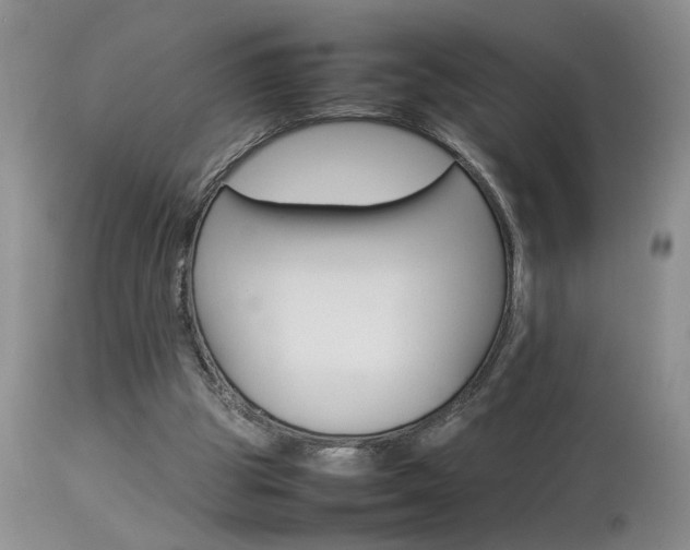 X0000113930153200909250924