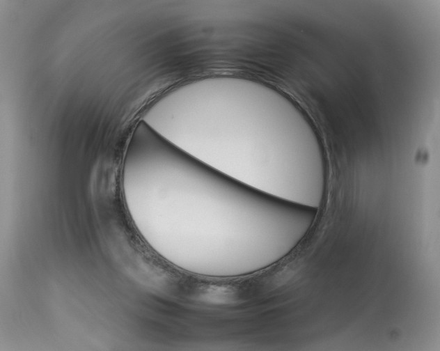 X0000113930157200909250924