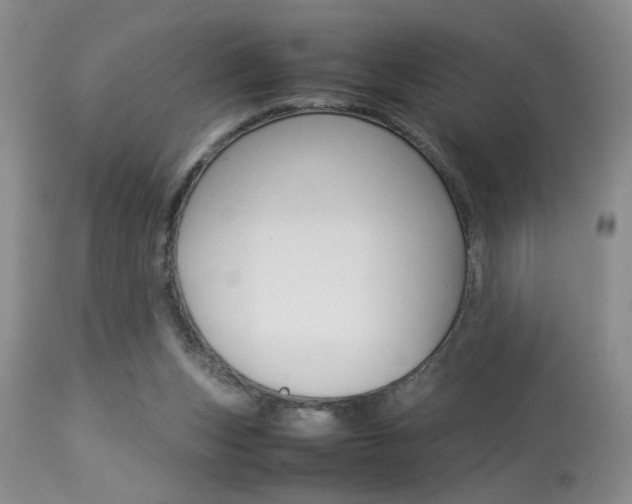 X0000113930159200909250924