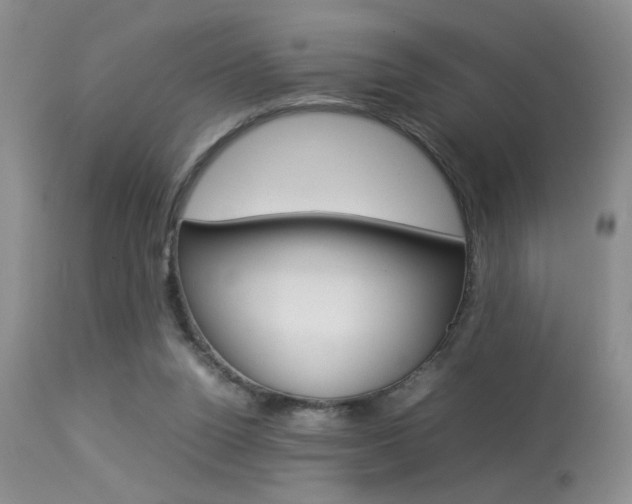 X0000113930160200909250924