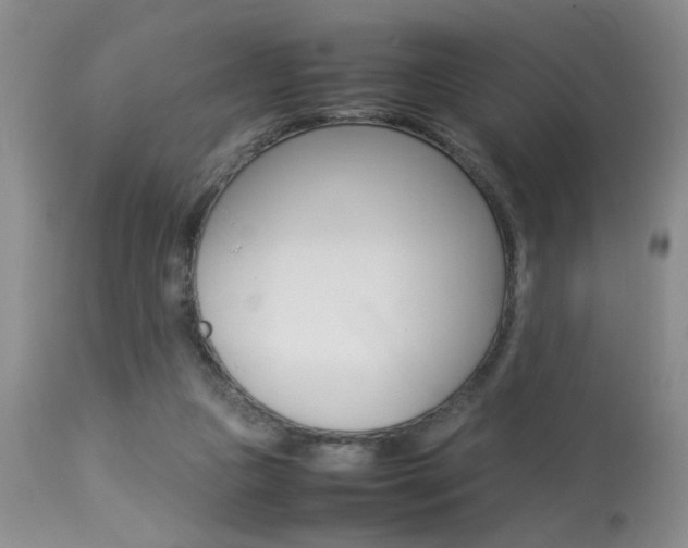 X0000113930161200909250924