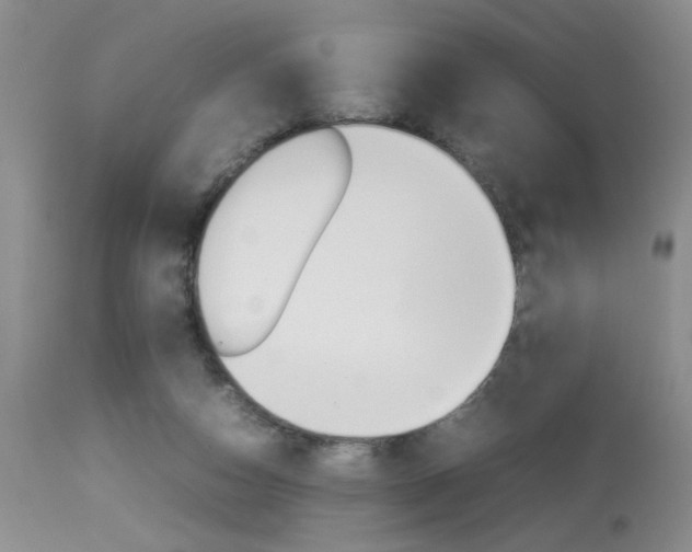 X0000113930162200909250924