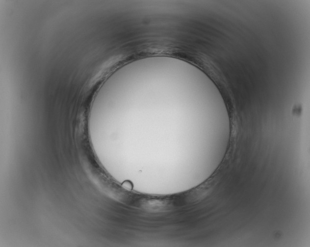 X0000113930163200909250924