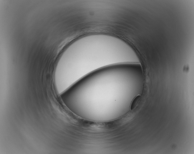 X0000113930164200909250924