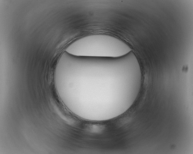 X0000113930165200909250924
