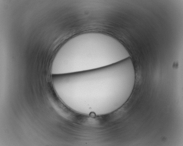 X0000113930166200909250924