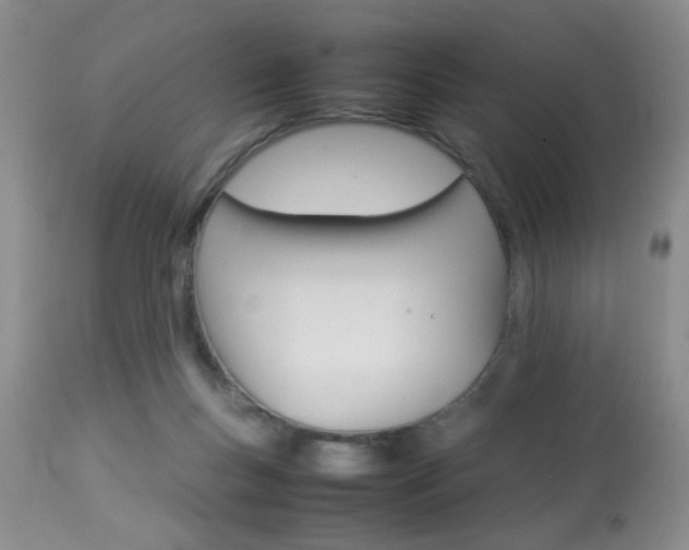 X0000113930167200909250924