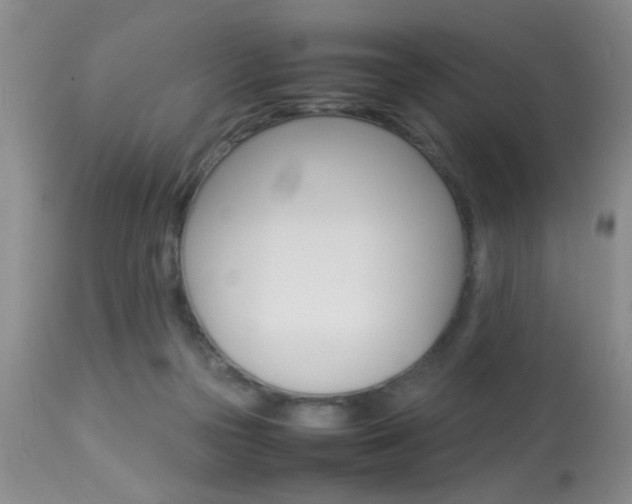 X0000113930169200909250924