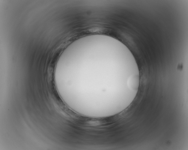 X0000113930171200909250924