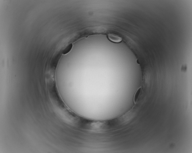 X0000113930172200909250924