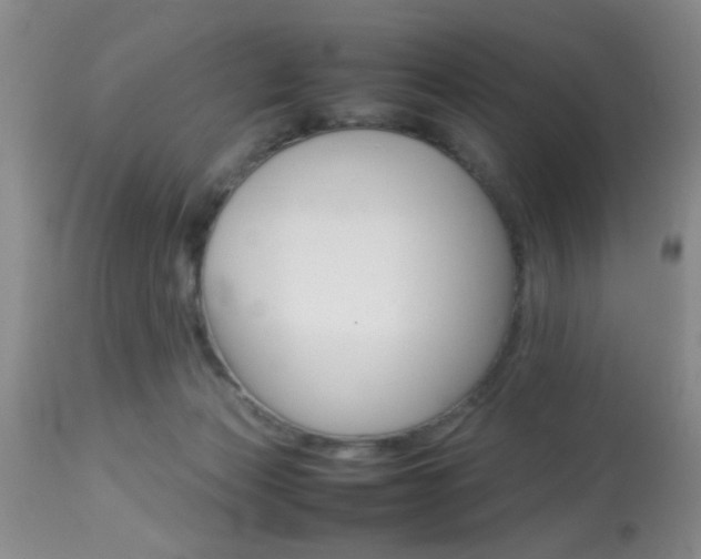 X0000113930173200909250924