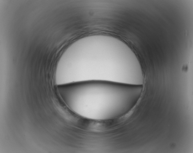 X0000113930174200909250924
