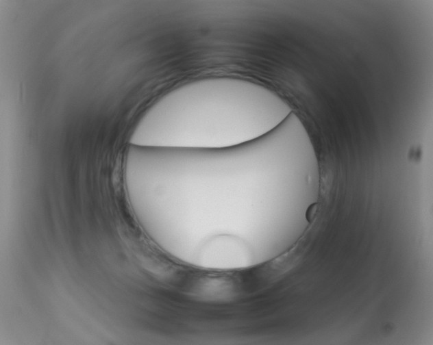 X0000113930175200909250924