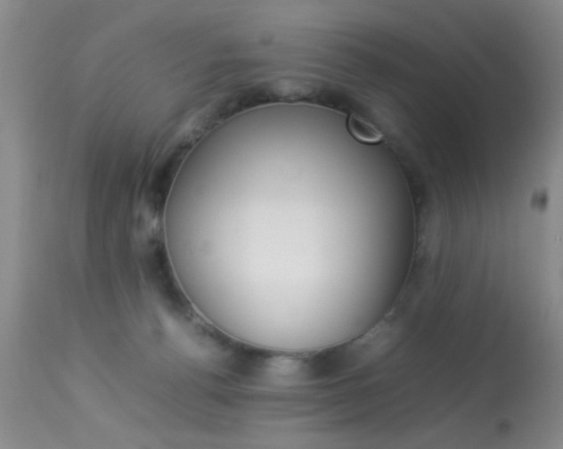 X0000113930176200909250924