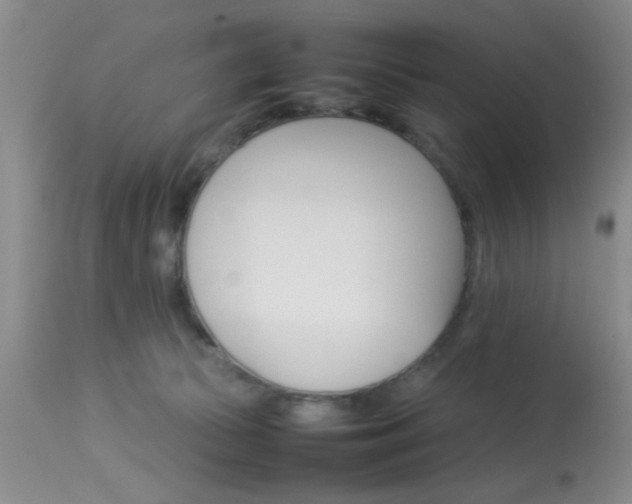 X0000113930177200909250924