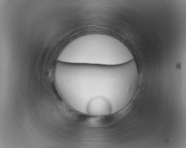 X0000113930178200909250924