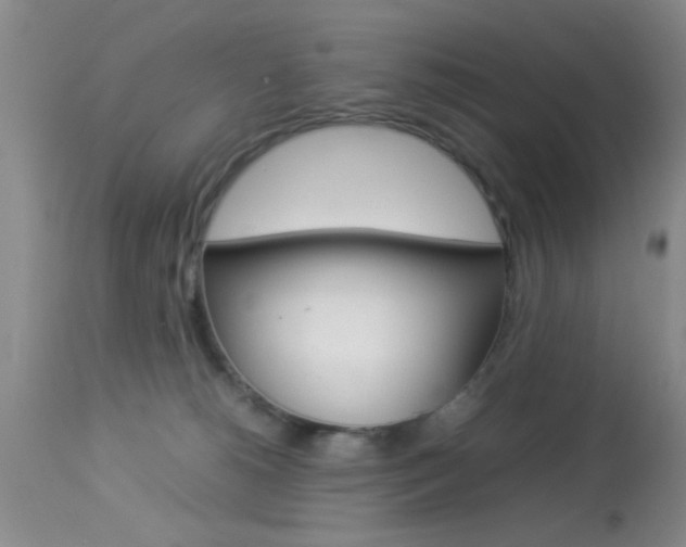 X0000113930180200909250924