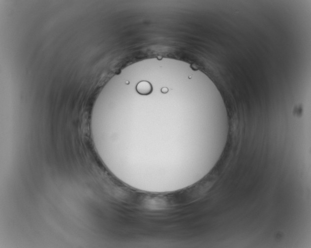 X0000113930181200909250924