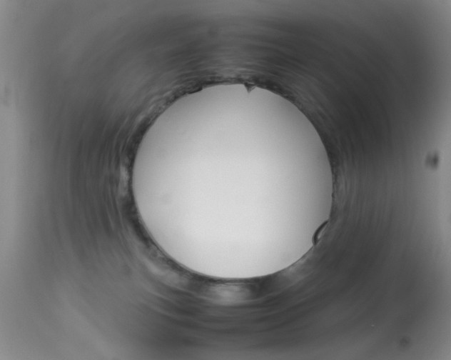 X0000113930183200909250924