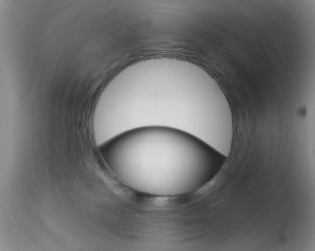 X0000113930184200909250924