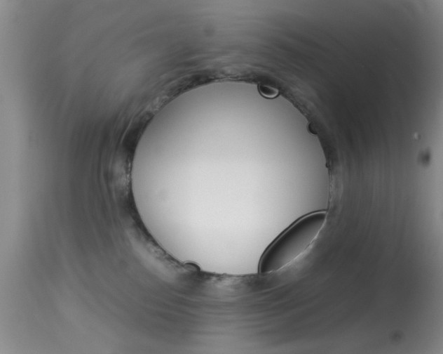 X0000113930186200909250925