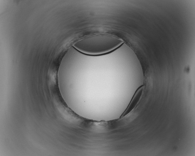 X0000113930188200909250925