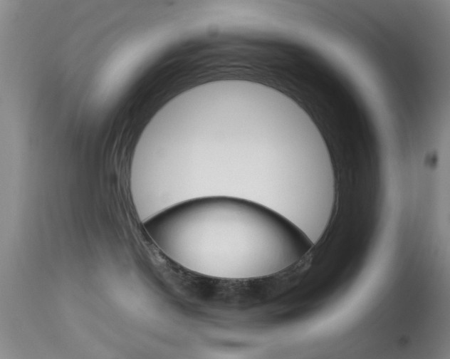 X0000113930190200909250925